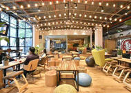 �����硤nakedHub